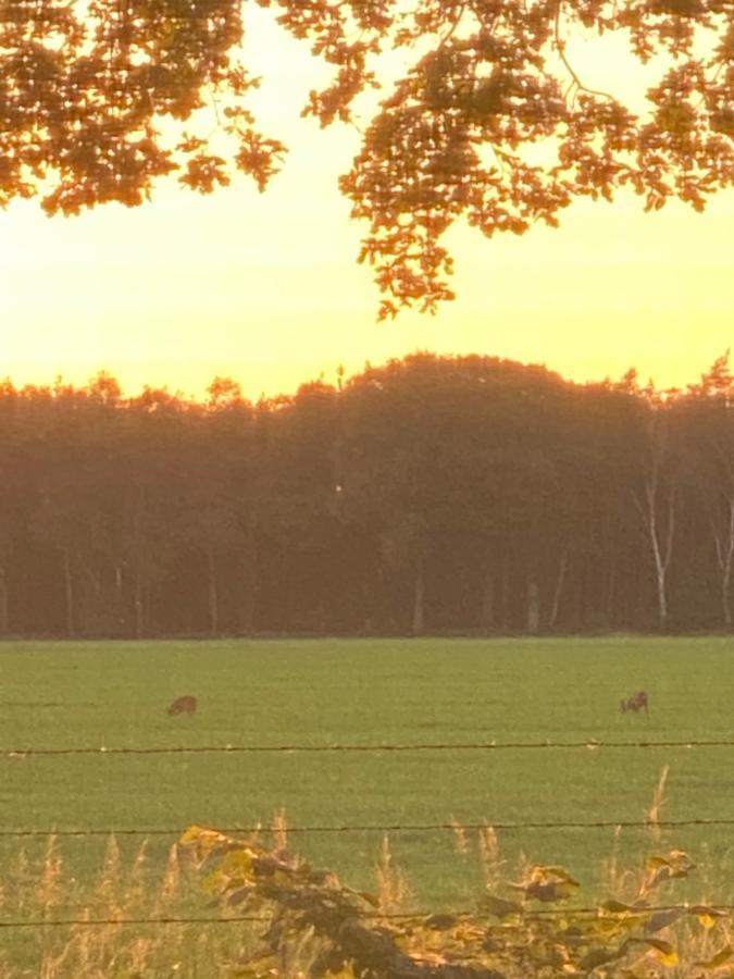 De Kleine Eekhoorn Casa de Férias Lage Mierde