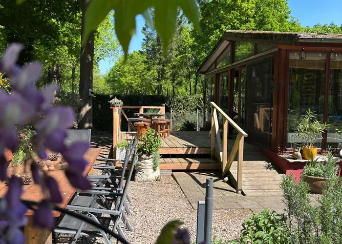 Chalet De Kleine Eekhoorn