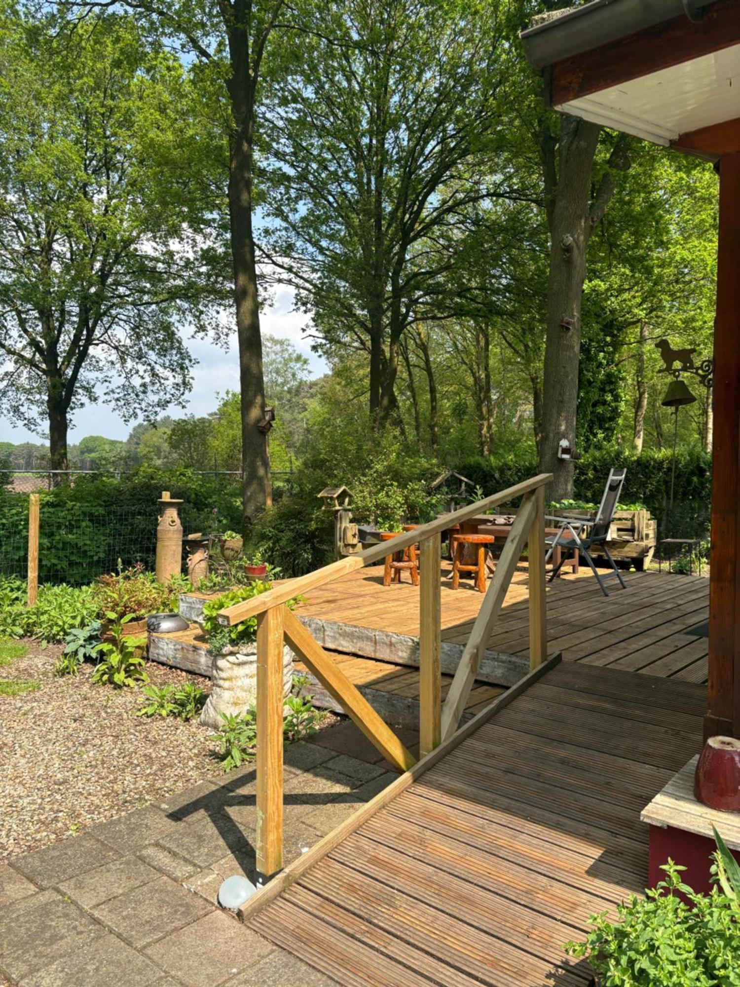De Kleine Eekhoorn Lage Mierde
